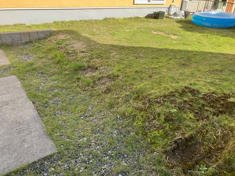 駐車場 不陸整正前状況④（Before）