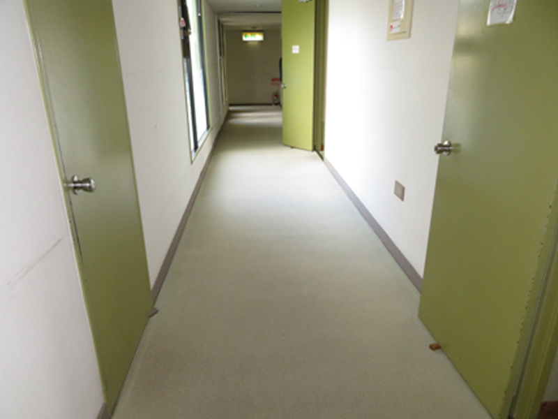 ２階廊下 腰壁・床・ドア塗装 改装前状況（Before）