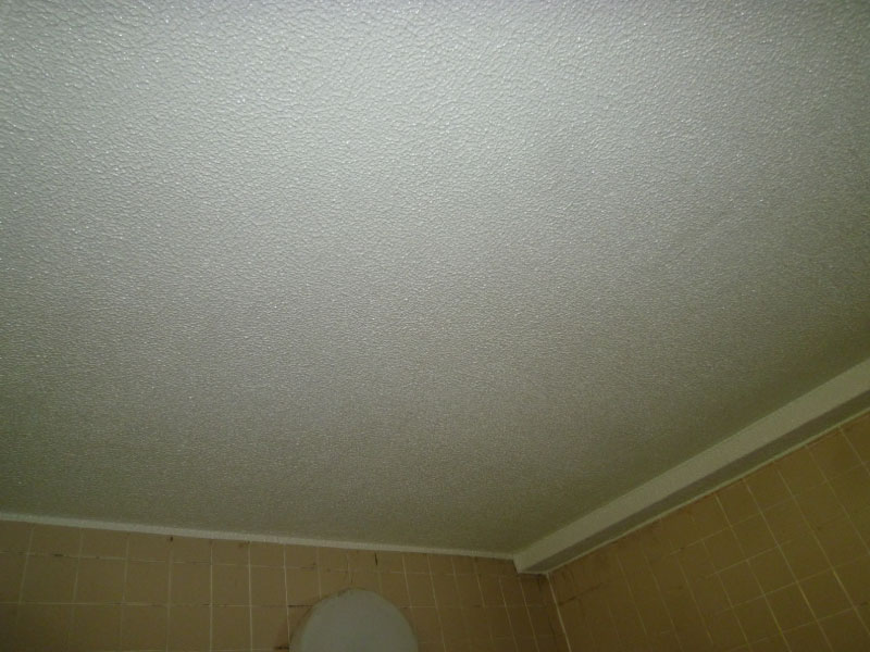 浴室天井 改装完了（After）