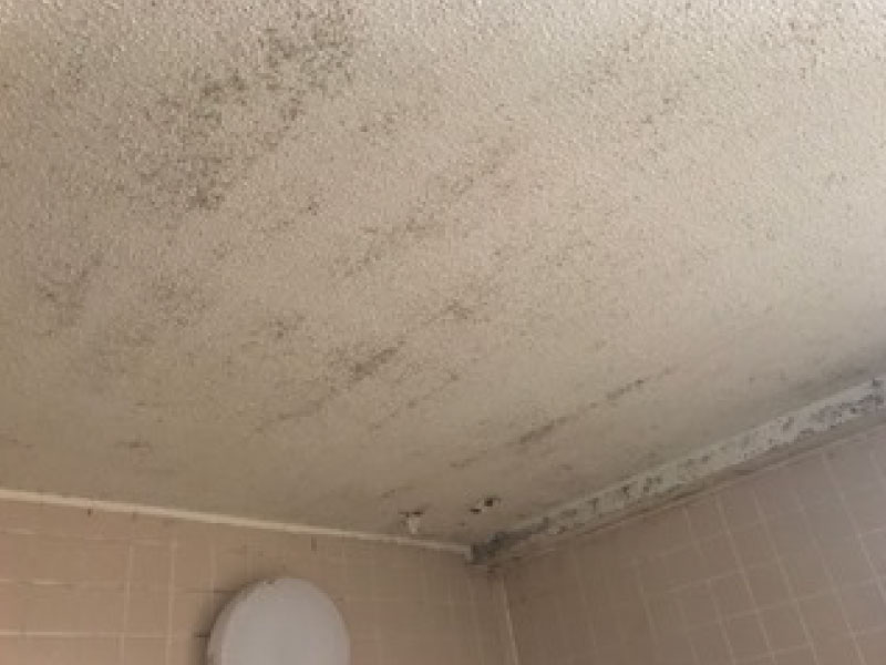 浴室天井 改装前状況（Before）