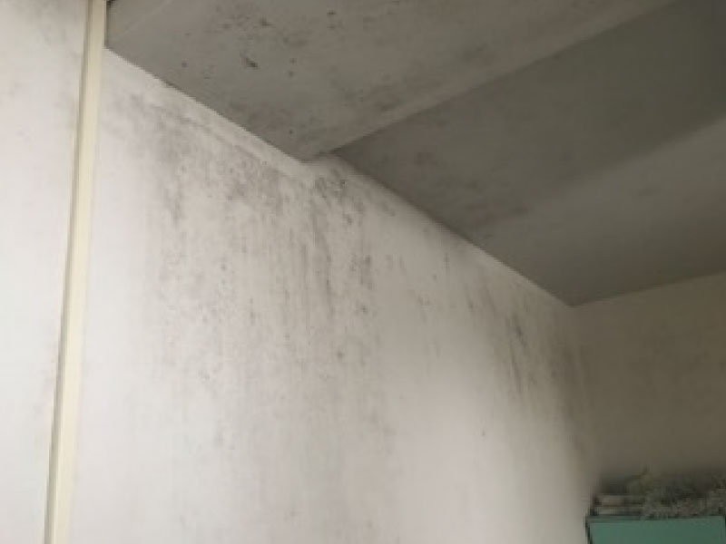 脱衣室・壁・天井 改装前状況（Before）